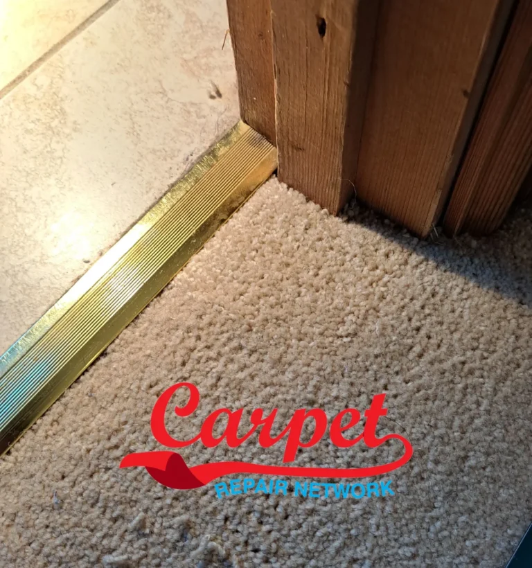 carpet repair pet damage after repair