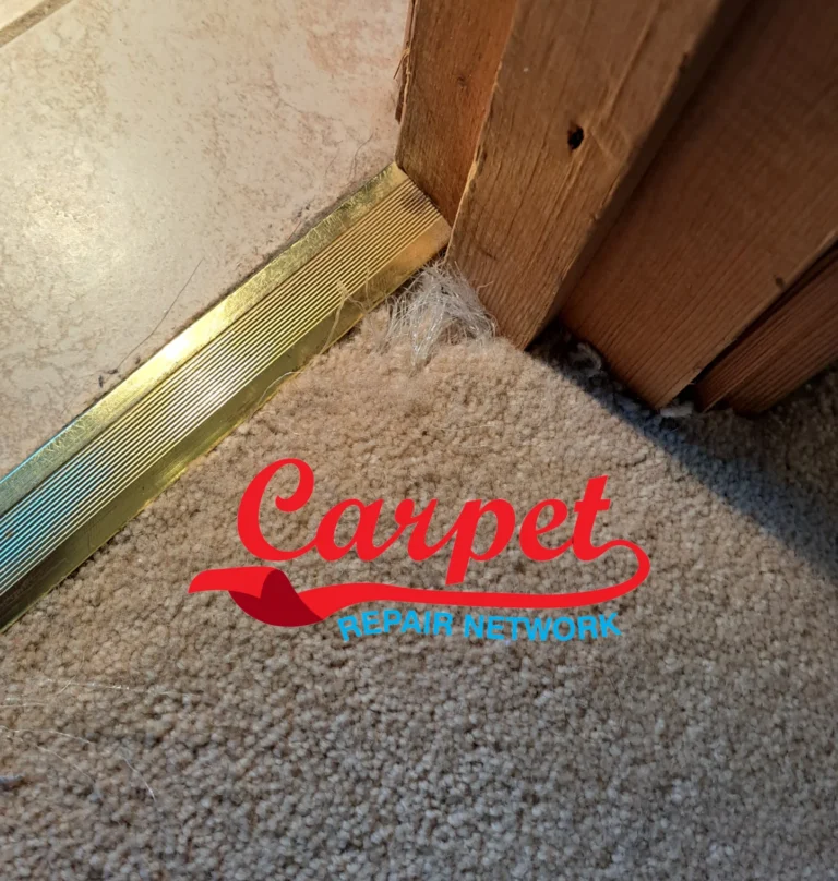 carpet repair pet damage before repair